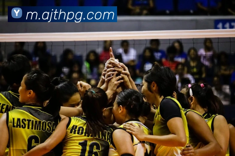 pg官网平台生态图